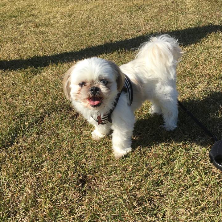 D33c9c83 1d43 4063 a3f6 d79d36c474e0 1509672719085