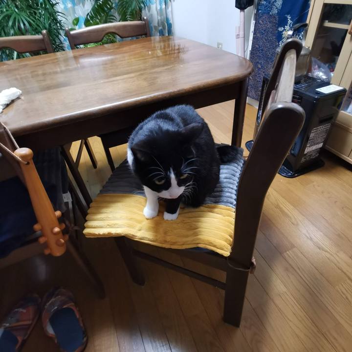 D33d01dd 3a64 4dd1 adb0 27caf9c6b6c6 1702365792063