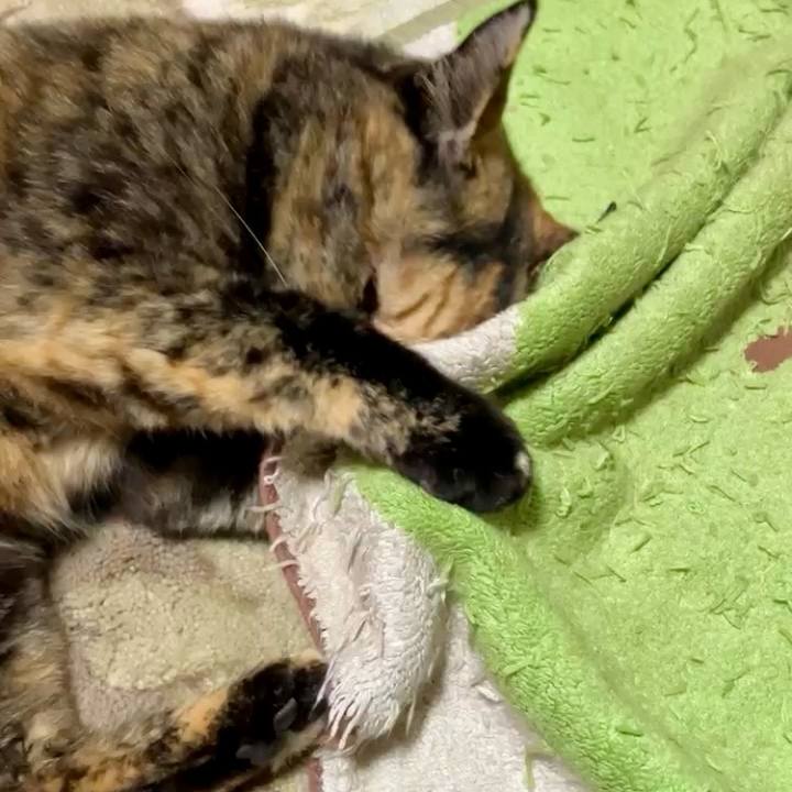 D33d0964 c626 4e61 ab84 96daaef536d8 1729799638645