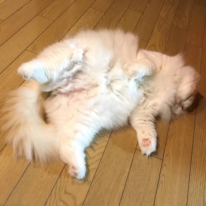 D33d0eab 5a8c 4ae0 9081 ba001ccf73d3 1536409658389