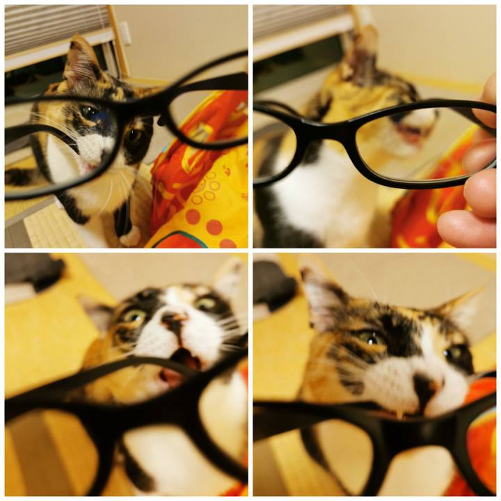 D33d2068 f177 43ee a85e 5d3b01fc40f0 1679023747719