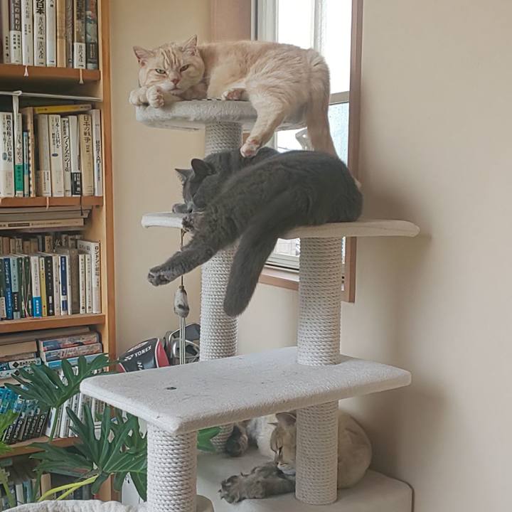 D33d2e03 14ba 4c18 be7b 3ae59df6bd8c 1592098281439