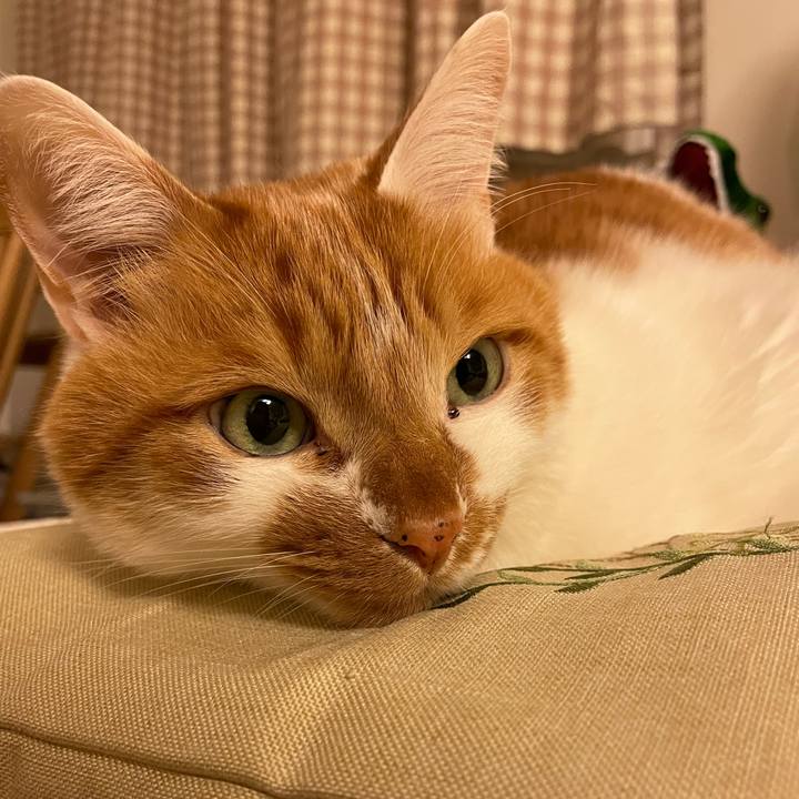 D33d571d 48d4 4ac0 a21d 3f3c254270a9 1644235249911