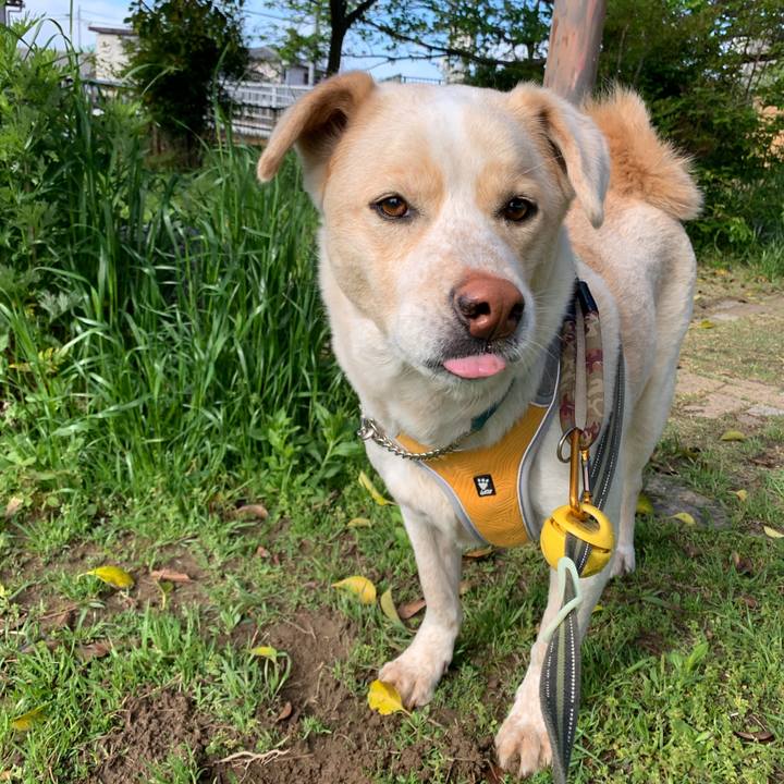 D33d7671 009a 4777 8fdc 14dd6b92057e 1556325747057