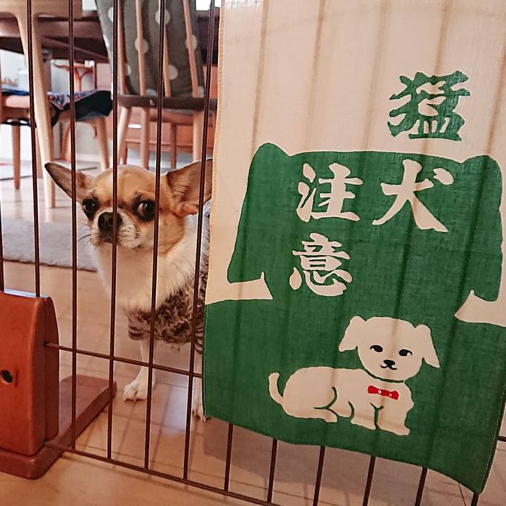 D33d8a53 92fe 4312 a7ce b8ee000d24e6 1609300876018