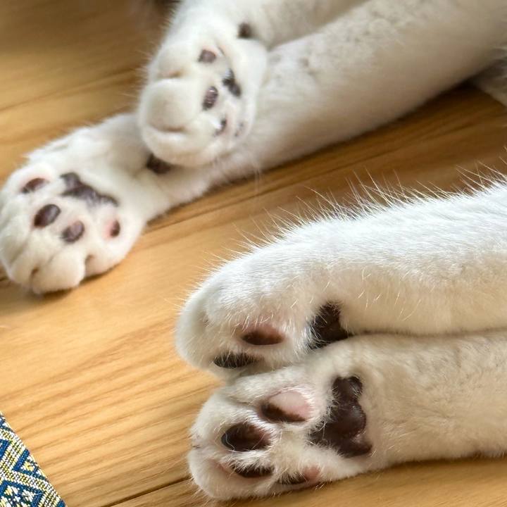 D33d9574 4ec8 4d4d 9a81 acc4cf8ebd81 1693015144701