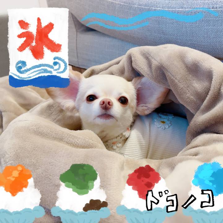 D33dc482 571b 45ca 90ba 6f8f4ea21209 1723174532124