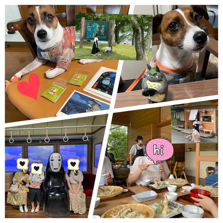 D33dd389 9e6f 4bba a9a3 4ee0346b08ca 1658966429003