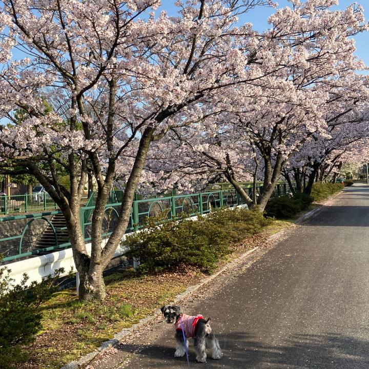 D33ddade d6c4 44b6 9bd5 f3ec6d07d988 1713272812116