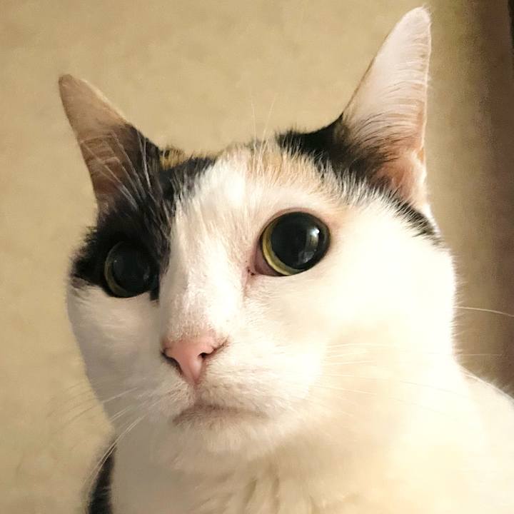 D33dedf7 ee7b 40c8 9fe4 d53633fed989 1651545635890