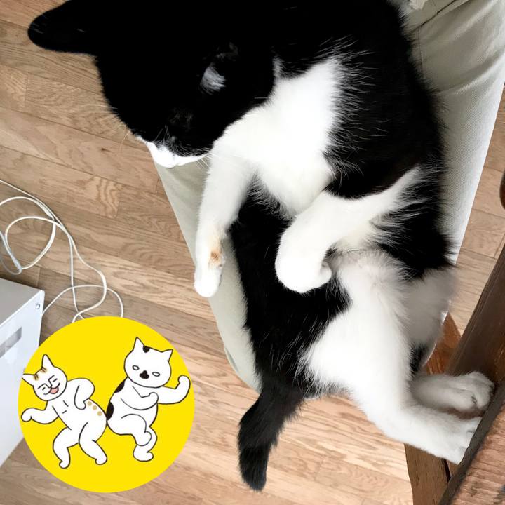 D33df132 3265 4bf6 9dc3 b931730eb6f4 1553482772207