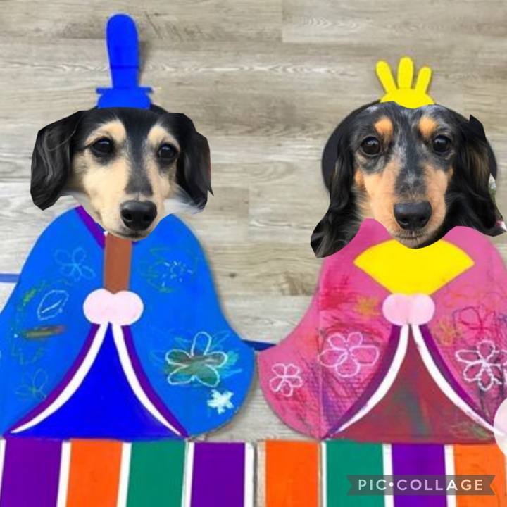 D33dffe7 a3e6 4c8a b2e2 62e25a01fe13 1614819717590