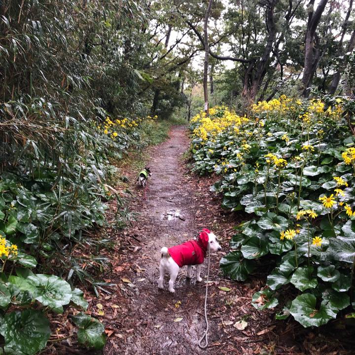 D33e2287 4f10 4065 be96 bc4110c47b85 1539990494176