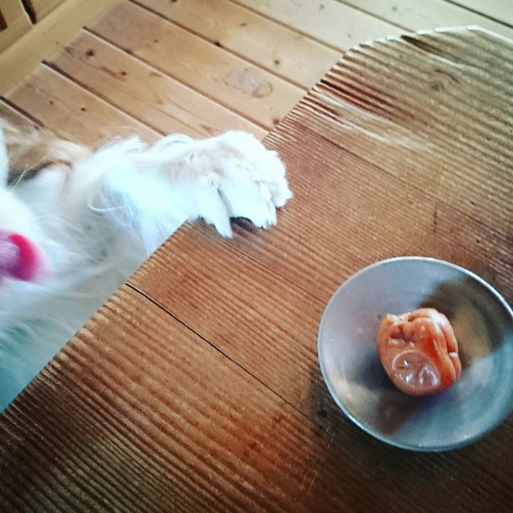 D33e5cbf 6500 4f1c ad29 67bd7b804021 1530482284504