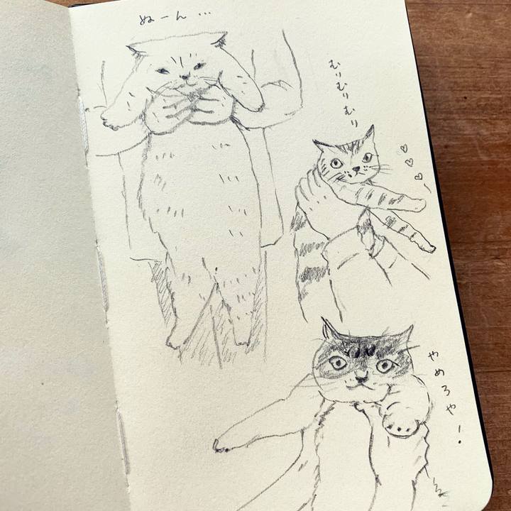 D33e9c21 e6b3 4934 82b0 657c38edf815 1650319585889