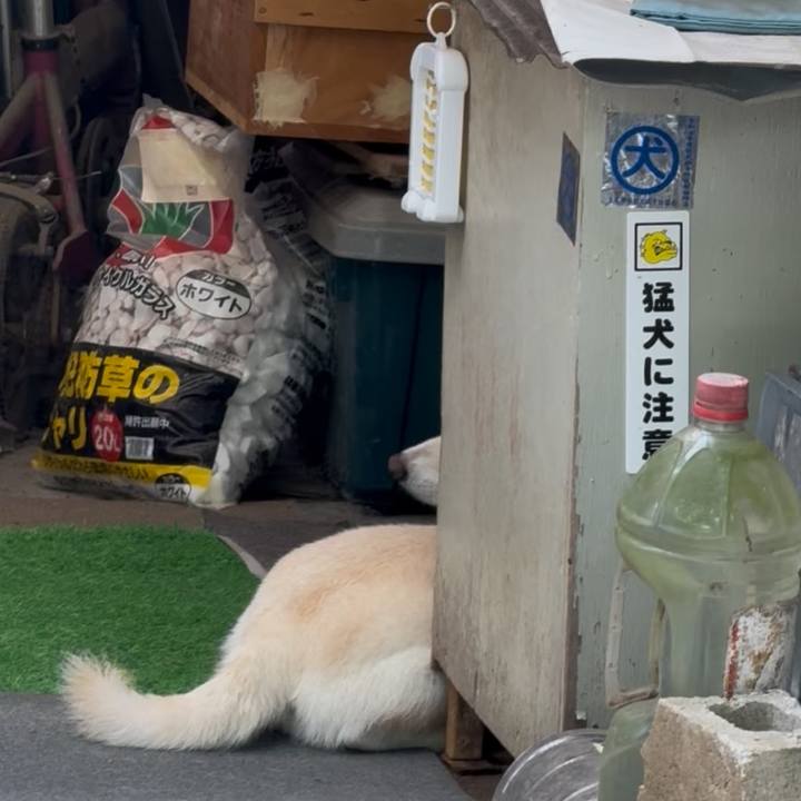 D33eca8a 7e89 4579 9759 8a93dbaddb5a 1754361986251