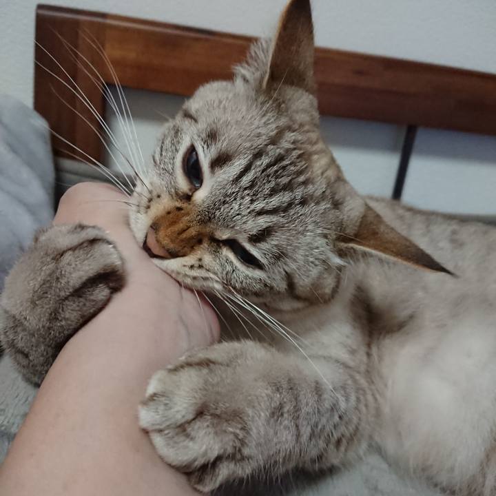 D33f5733 d5a5 44bc bc50 bbfcbcf1e1e2 1571582275930