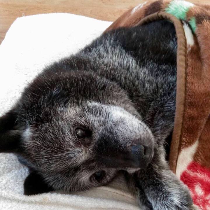 D33f79ba 8359 4d96 a170 12beda58c525 1583374323223