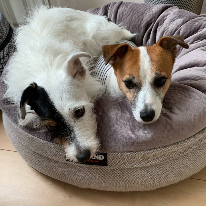 D33f835e 5cb6 4295 849f 15c6c9af50a5 1602908640267