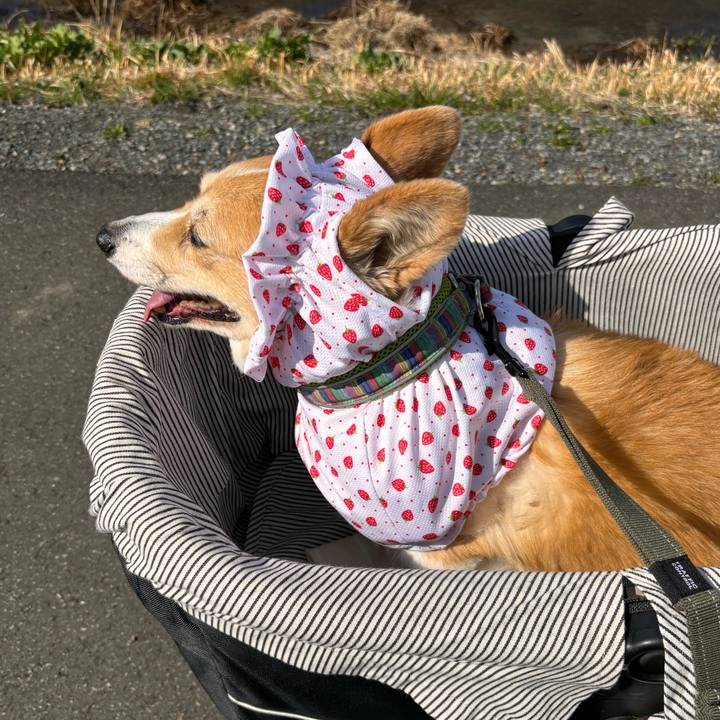 D33f862a 1e38 460c 8256 7963e3e50c17 1772244277014