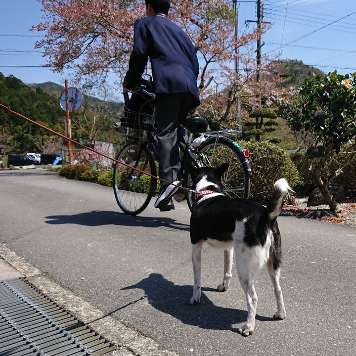 D33f90d6 916d 4b3f bded edfba8caddb1 1617869882103