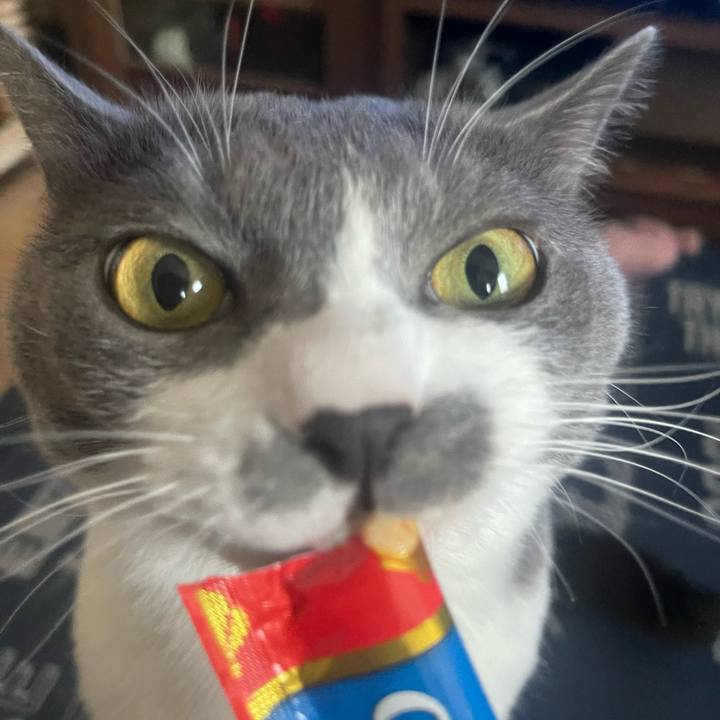 D33fa76e dde2 4642 827a 8d3ec7b1de74 1691132710845