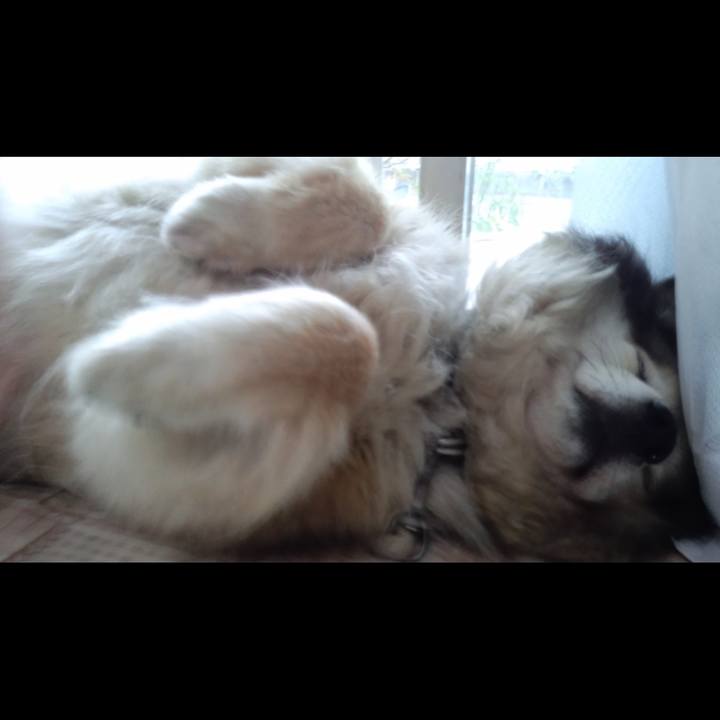 D33fb48c e576 48d1 b00c 2a37f9d23132 1588271030867