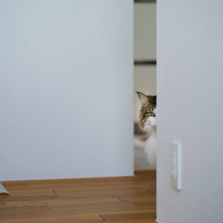 D33fb886 9285 4d08 bda7 05adff0d8760 1663824497271