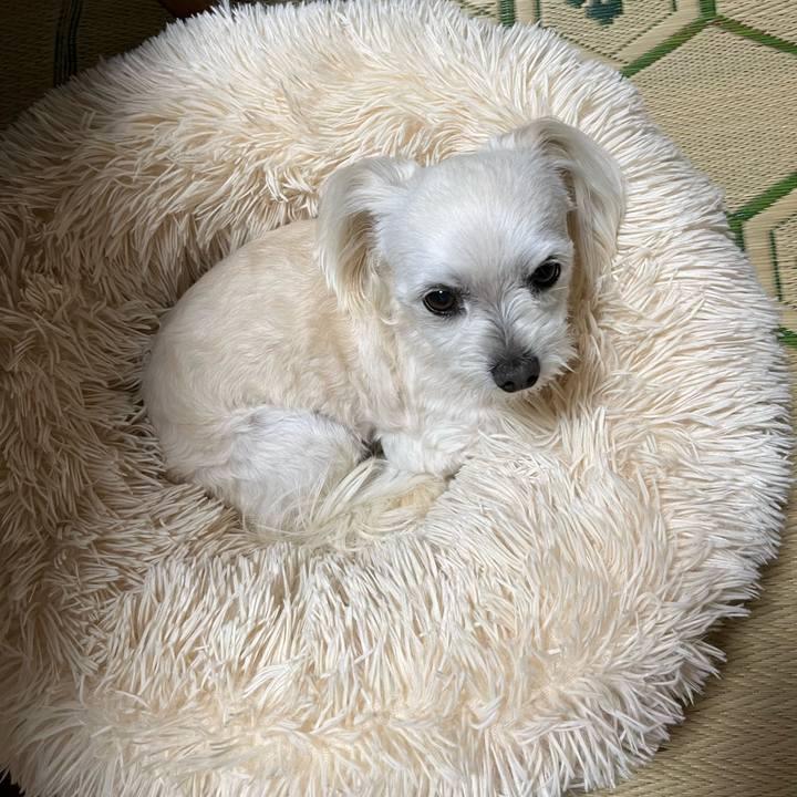 D33fc2ee b109 45c8 acc9 509df2dfd228 1685088010760