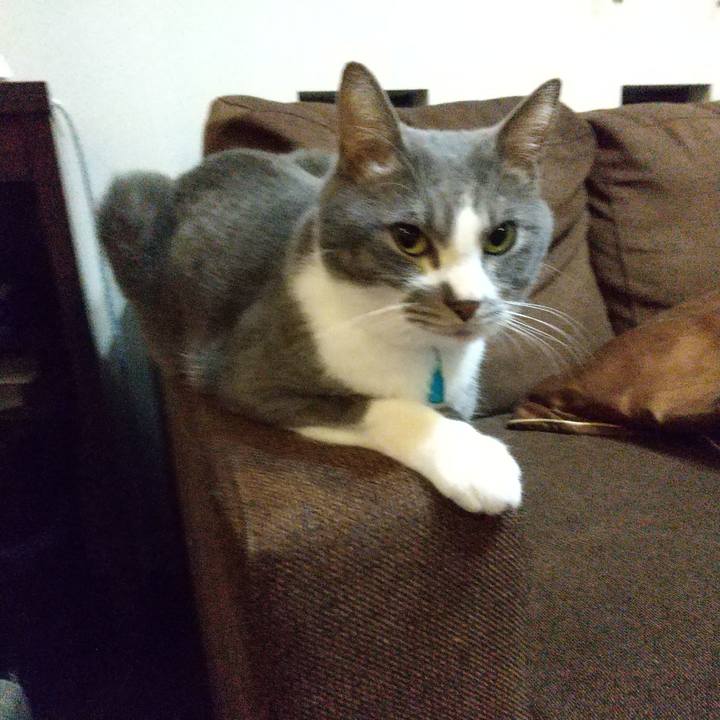 D33ff231 9a34 4990 97d8 2191f5c1f41a 1641982631897