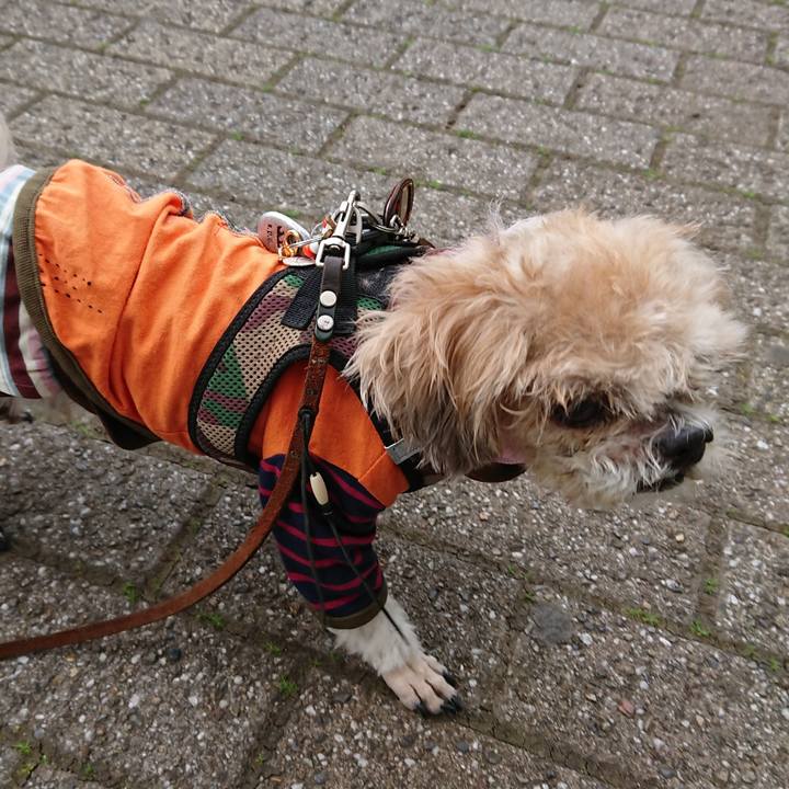 D3405247 fc49 4cab a431 bcb7228c1b60 1523173468226