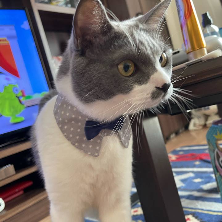 D3409c81 ceb2 423a b238 a818705b8871 1664072662461