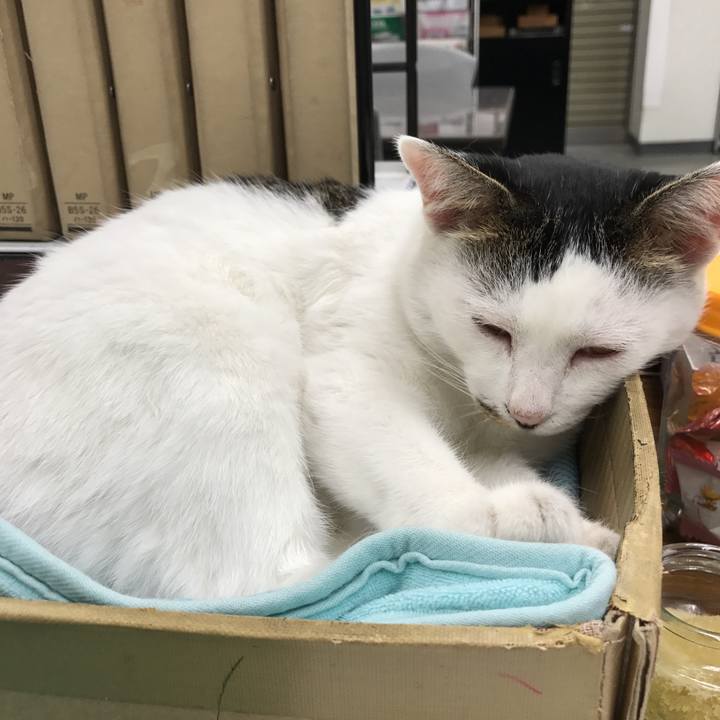 D340e309 809a 418e 9ae5 b7ce8f5c0775 1508318462069