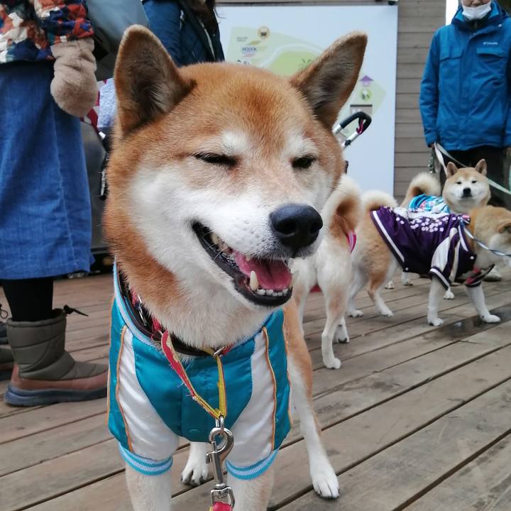 D340ffb7 9f2c 4572 af6d f4b68b413da1 1673869828347