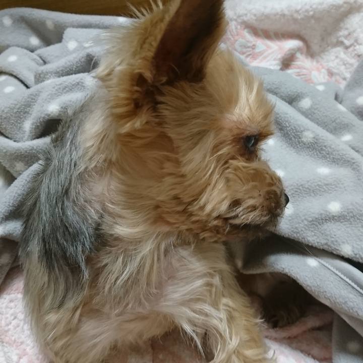 D34119f3 5c33 4515 b832 bc17a44279b6 1548248398828