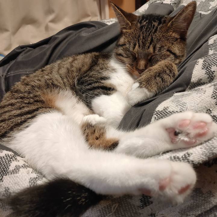 D3412318 513b 4b50 9105 12c149b9f510 1657701158077