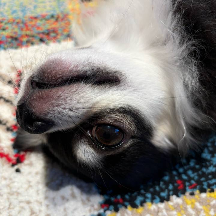 D3412f37 159e 4e87 b606 66b0190eaf8e 1728750222334