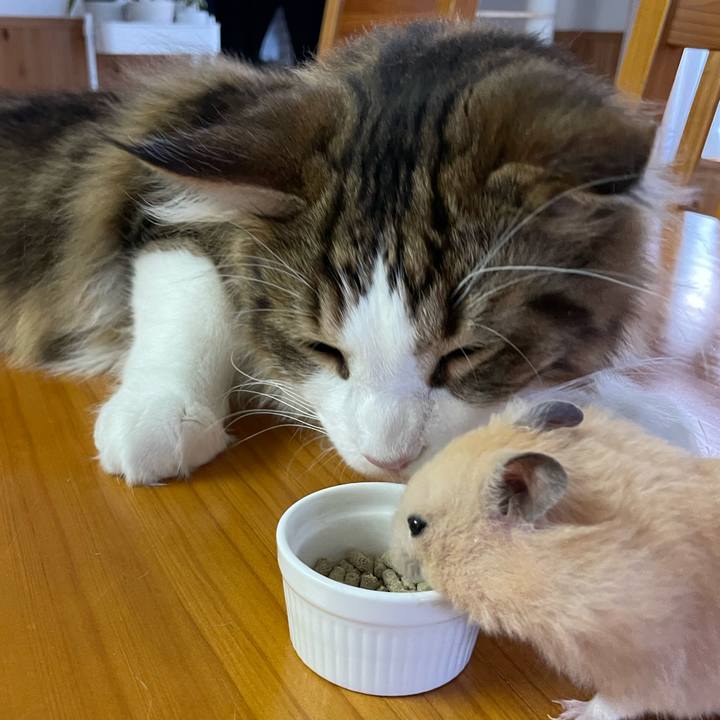 D341361e dc73 424b bb48 08f5043780b1 1654029777722