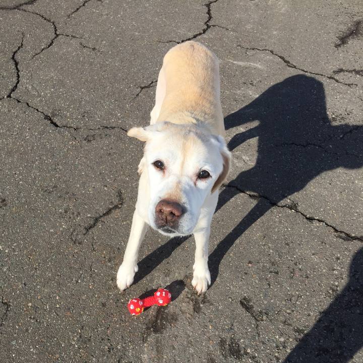 D3414da1 2e87 4448 8c7c dc784959b0ec 1517721629137