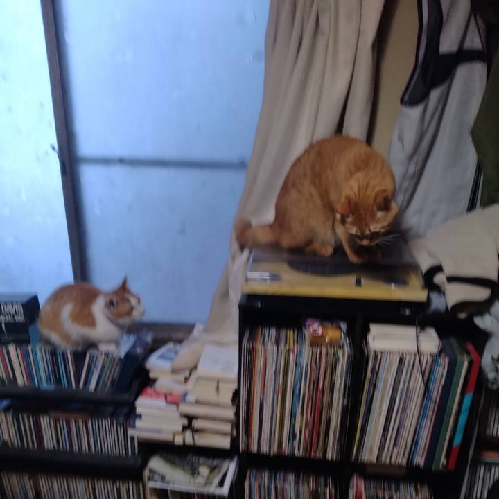 D341ddeb f550 4e3f 9b77 ed210a907fcc 1738884798145