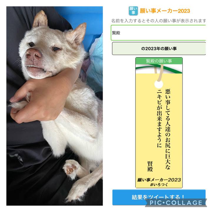 D34201ce 9d9d 4947 b3b5 6bd44e4d667e 1688694892834