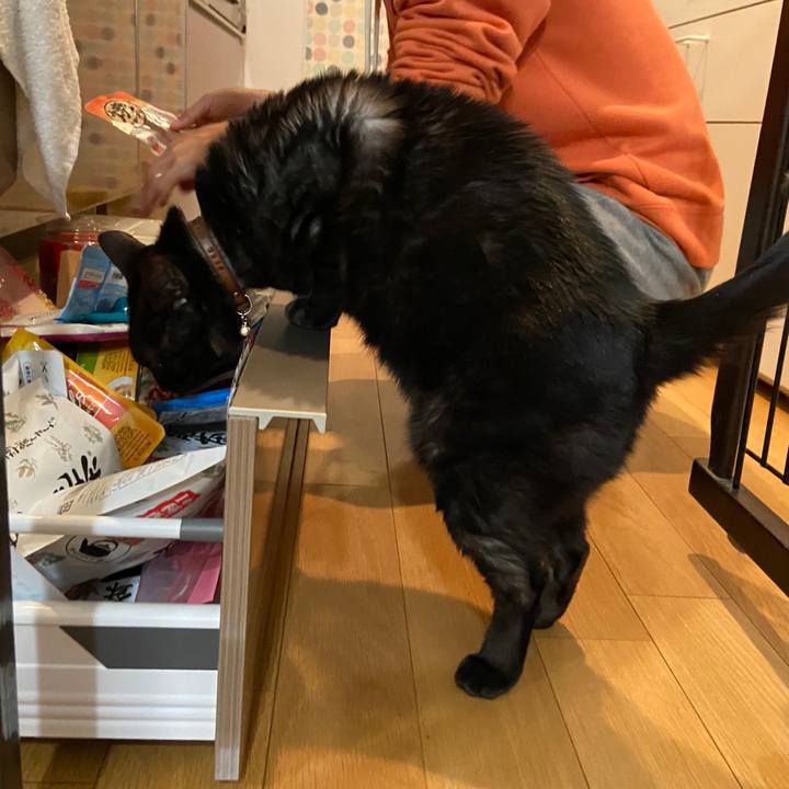 D342092c b0da 4ce0 94e5 074434e096e3 1648166338264