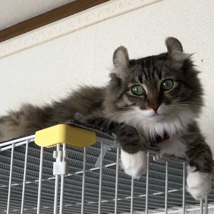 D34221b8 7554 4555 8125 777e00672de2 1528358048526