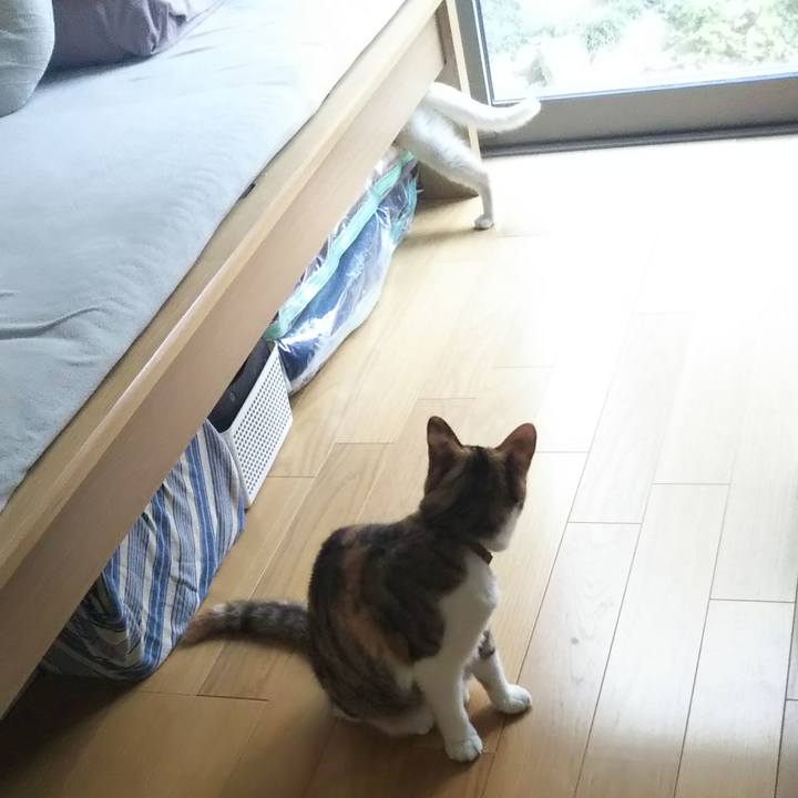 D34237b9 385c 4d58 8624 ff8c9e8f39fa 1653895713635