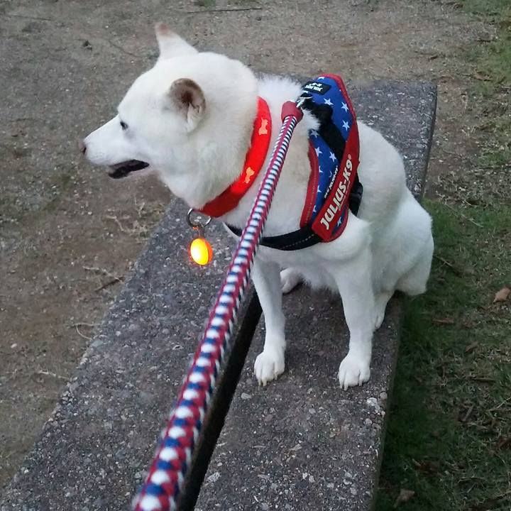 D3428e09 2e4c 42bf a62b e6932f48773b 1567590814729