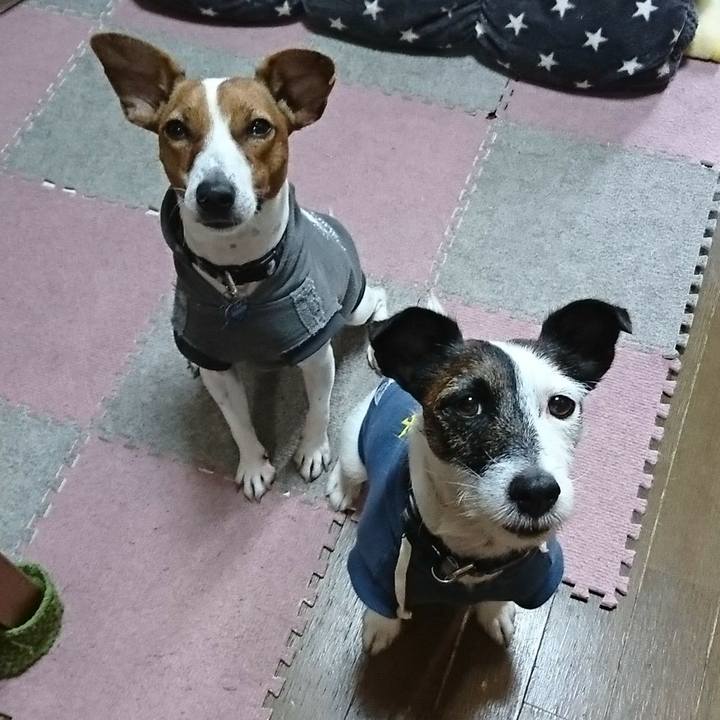 D342b544 a0cf 4388 8ce6 144819fe8c36 1540419752124