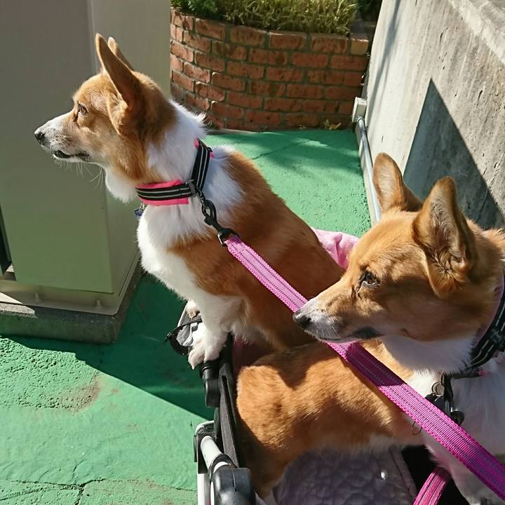 D3432cd2 c023 4377 b48b 8077253d45b0 1545102369728