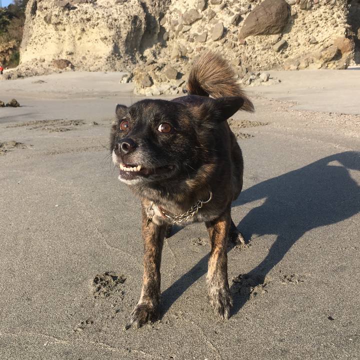 D343789d 49fa 4dda 85d7 73908c616b86 1521865993572