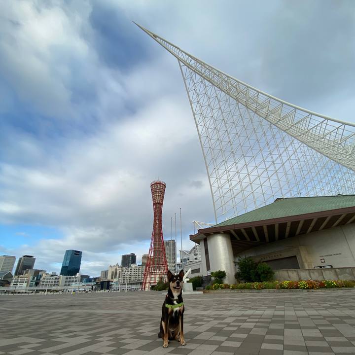 D343a913 65e7 40de 9aa9 f1dc004af98c 1601250277208