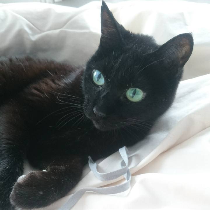 D343fd1f ac2a 4fef b7e9 5a9650b18688 1517185208315